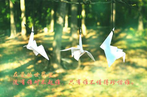 盛景太匆匆:精选作品之一最新章节列表_盛景太匆匆:精选作品之一全文免费阅读(宁若曦沈砚舟)