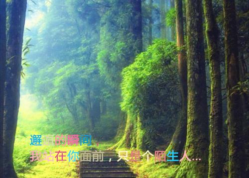 (番外)+(全文)桃枝记事txt下载阅读_(桃枝)桃枝记事免费阅读全文最新章节列表_笔趣阁（桃枝）