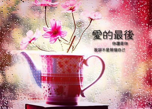 全本亲生女儿被练成蛊后我杀疯了（宋闻景宋清清）最新章节列表_全本亲生女儿被练成蛊后我杀疯了全文阅读