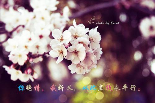 三国：我居然成了刘禅他弟（刘琦,刘大,那刘荣）全文免费_（刘琦,刘大,那刘荣）三国：我居然成了刘禅他弟后续阅读（刘琦,刘大,那刘荣）