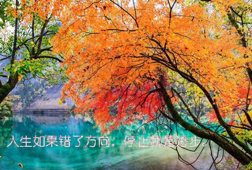 (番外)+(全文)候鸟别离入云端下载阅读_(柳玉周风)候鸟别离入云端最新章节列表_笔趣阁（柳玉周风）