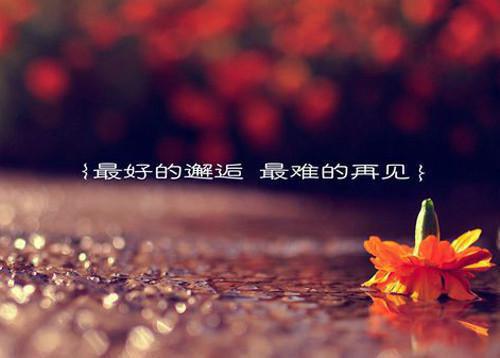 婚礼当天甩渣男，我直接做他嫂子在线阅读林清月宁峰