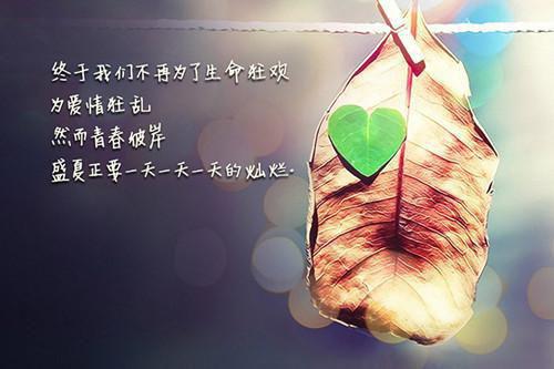 金玉其外，败絮其中（墨婉顾逸舟）全文免费_（墨婉顾逸舟）金玉其外，败絮其中后续阅读（墨婉顾逸舟）