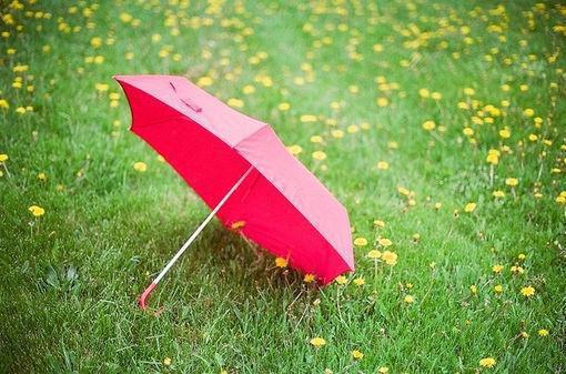 全文浏览从此再难逢明月：节选免费（顾述年温南雪）_从此再难逢明月：节选免费（顾述年温南雪）全文结局
