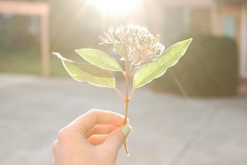 婚后三年，我离婚抛夫最新小说（林今瑜陆南赫纪玉珍）全文阅读