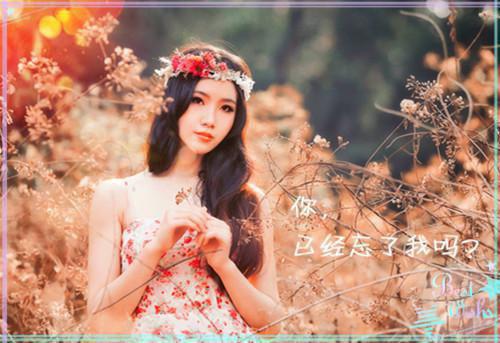 鬓边不是牡丹红：高分完本（盛惟芳萧既明贺锦）已完结，鬓边不是牡丹红：高分完本已完结