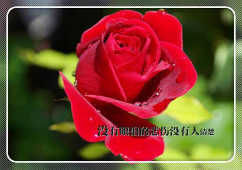 (番外)+(全文)疯了吧！我成了校花妈妈的秘书！文章简述_(疯了吧！我成了校花妈妈的秘书！文章简述)秦然最新章节列表_笔趣阁（疯了吧！我成了校花妈妈的秘书！文章简述）