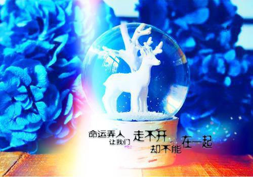 重生后我打脸白眼狼未婚夫和小师妹阿瑶推荐完本_已完结重生后我打脸白眼狼未婚夫和小师妹（阿瑶）