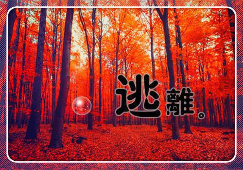 闻说爱意忽已晚：精彩欣赏最新章节列表_闻说爱意忽已晚：精彩欣赏全文免费阅读(林舒晚楚寒屿)