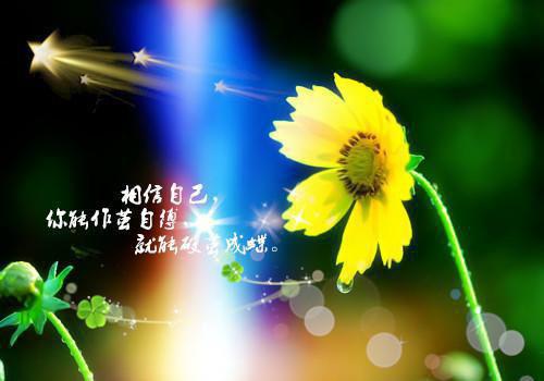 总裁女友99次取消和我领证后，我彻底死心离开（宋沁璟川）全文浏览_总裁女友99次取消和我领证后，我彻底死心离开全文浏览