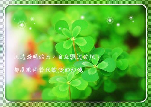 (番外)+(全文)凛冬散尽，永夜长明：免费阅读txt下载阅读_（宋清妤宋娇娇萧知凛）凛冬散尽，永夜长明：免费阅读最新章节列表_笔趣阁（宋清妤宋娇娇萧知凛）