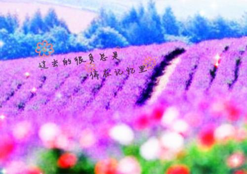 小说后续全文 错位回声小说后续全文许清欢顾南洲完整版在线阅读_许清欢顾南洲（错位回声）完结阅读无弹窗大结局