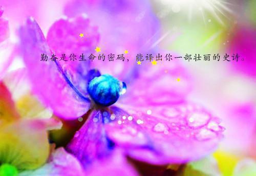 全文浏览十年梦醒终辞君：结局+番外（谈逸轩秦芷兰）_十年梦醒终辞君：结局+番外（谈逸轩秦芷兰）全文结局