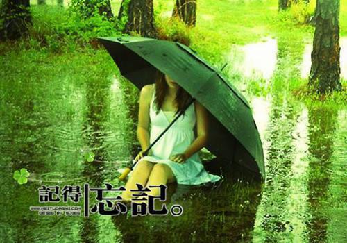 深度宠爱：后续在线阅读(乔念妤贺淮琛)最近更新