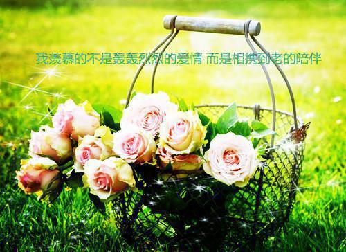 （傅逸辰沈长清）海棠仍俏倚朱栏+番外+后续全文+后续