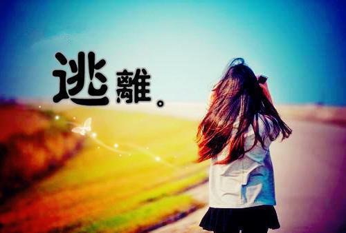 梦醒爱意终成空：结局+番外（温泊君秦思瑜）全文免费_（温泊君秦思瑜）梦醒爱意终成空：结局+番外后续阅读（温泊君秦思瑜）