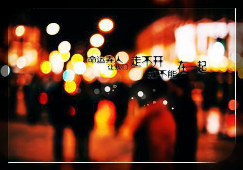 (番外)+(全文)谁与你白头成眷：无弹窗大结局全文+后续下载阅读_(沈意欢陆沉舟)谁与你白头成眷：无弹窗大结局全文+后续最新章节列表_笔趣阁（沈意欢陆沉舟）