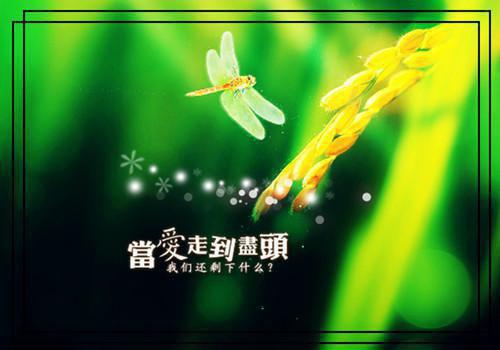 最新章节他前妻回来后，我转身离开（夏薇陈致远）_他前妻回来后，我转身离开夏薇陈致远最新章节