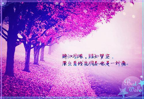 开局流放：带着异能空间种田整本阅读（傅心慈孟庆平）