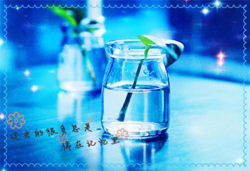 (番外)+(全文)被小狼狗抢人后,周总气疯了：番外+全文+后续（叶妩周京淮）完整版小说阅读_被小狼狗抢人后,周总气疯了：番外+全文+后续免费阅读_笔趣阁（叶妩周京淮）