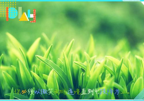 贬妻为妾？主母和离后侯爷悔断肠（穆清宁陆长延）全文浏览_贬妻为妾？主母和离后侯爷悔断肠全文浏览