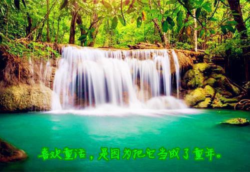 林洛清陆沉林洛清陆沉全文小说全章节阅读