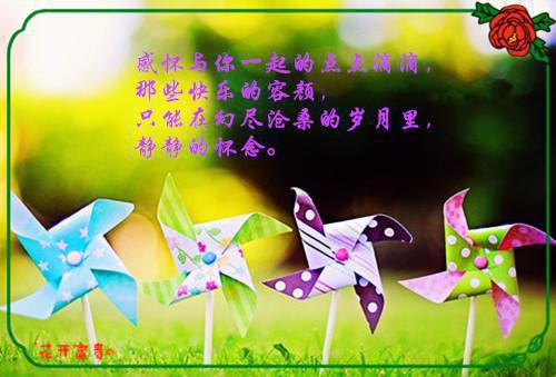 全文免费第1章美女区长李辰_第1章美女区长李辰全文免费