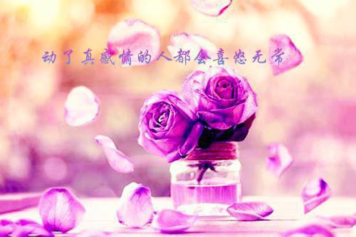 完结文傲娇世子太毒舌追妻火葬场吧你沈云舟裴砚礼（又名：花轿抬错后，清冷世子天天挨揍）最新章节列表_完结文傲娇世子太毒舌追妻火葬场吧你沈云舟裴砚礼（又名：花轿抬错后，清冷世子天天挨揍）全文阅读