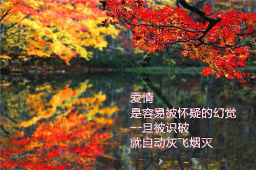 浮灯灿烂一朝：结局+番外免费（梁明昭谢临风沈砚卿）全文浏览_浮灯灿烂一朝：结局+番外免费全文浏览
