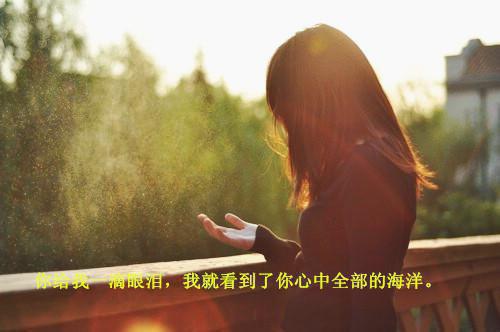 旺旺的小说相爱尽头是相忘陆时晏洛虞宋枝枝,陆时晏,洛虞全文在线阅读