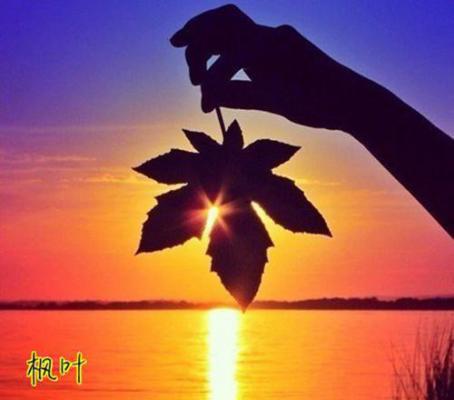 (番外)+(全文)被毁婚后，我遇到生命中最重要的她无删版免费下载阅读_（林辰苏梦）被毁婚后，我遇到生命中最重要的她无删版最新章节列表_笔趣阁（林辰苏梦）