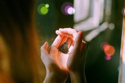 墨竹祁的小说系统爆改恶毒女配，强行攻略王爷阮棠棠儿全文在线阅读