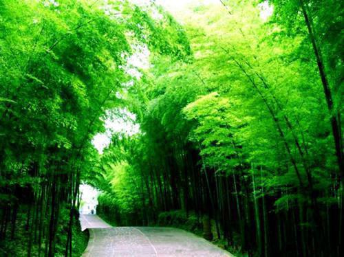 沈晚棠秦渲小说小说全文免费阅读_沈晚棠秦渲小说阅读