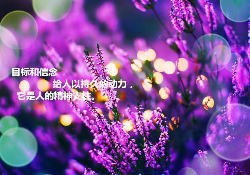 谁与你白头成眷：优质全章最新小说（沈意欢陆沉舟）全文阅读