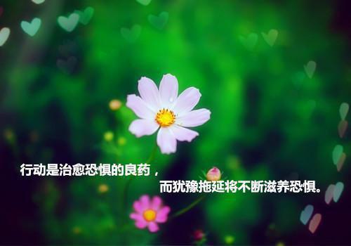 情在爱与不爱时最浓全文小说阎瑶小说在线阅读