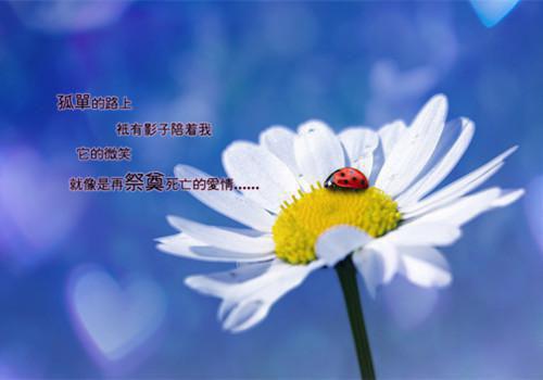 (番外)+(结局)颜之晴季如风（颜之晴季如风）全文免费阅读无弹窗大结局_(颜之晴季如风)最新章节列表_笔趣阁（颜之晴季如风）