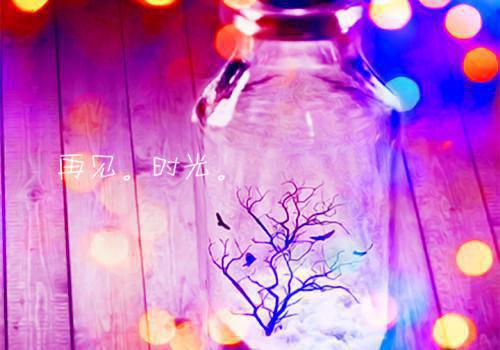 再见已无剧中人：畅销最新章节列表_再见已无剧中人：畅销全文免费阅读(段西辰莫雪凝莫鸣风宁心怡)