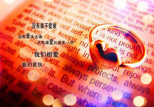 野渡无人春迟归：精彩章节分享小说完结许岁宁顾清让