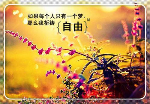 携空间下乡，冷面兵王狠狠宠安如意安如清推荐完本_已完结携空间下乡，冷面兵王狠狠宠（安如意安如清）