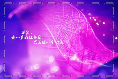 无人知晓的海岸线：+后续+完本（夏青青司博延）最新推荐_最新推荐无人知晓的海岸线：+后续+完本（夏青青司博延）