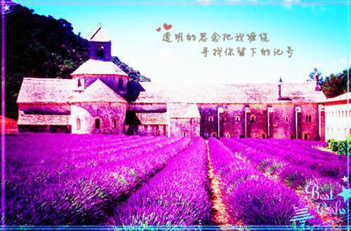 凛冬将至，爱意尽散爆款宝藏结局+番外(林屿谢慕泽)全文林屿谢慕泽读无弹窗结局_林屿谢慕泽读结局章节列表_笔趣阁（凛冬将至，爱意尽散爆款宝藏结局+番外）