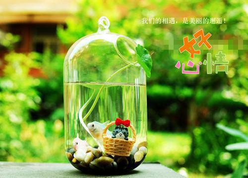 赵启芳顾承安（医生老婆离家半年,糙汉厂工偷偷哭了：全文+结局+番外）全文免费阅读无弹窗大结局_赵启芳顾承安最新章节列表_笔趣阁（医生老婆离家半年,糙汉厂工偷偷哭了：全文+结局+番外）