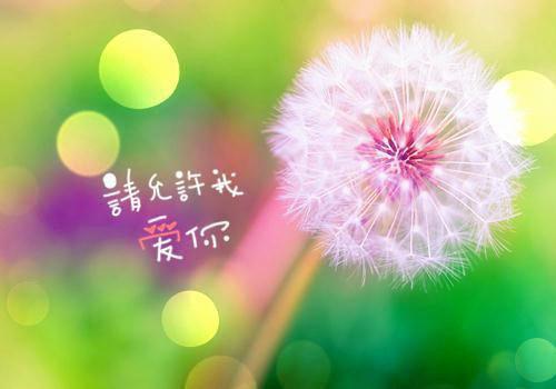 公主重生后，她造反成功了：续集（向寒齐云深）已完结，公主重生后，她造反成功了：续集已完结