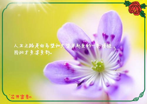 (番外)+(全文)心的第七次颤动免费免费下载阅读_(姜颜苏砚)姜颜苏砚最新章节列表_笔趣阁（姜颜苏砚）