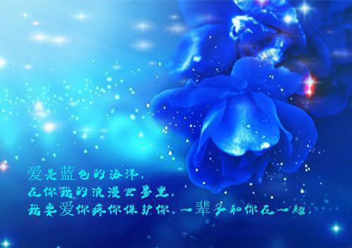 炮灰重生后靠经商玩转宅斗圈：（苏明玥,萧砚之）最新章节_炮灰重生后靠经商玩转宅斗圈：全文阅读