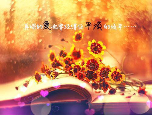 好看的颜以溪贺宴辞/且停且忘且随风:+后续+番外小说_颜以溪贺宴辞/且停且忘且随风:+后续+番外最新章节阅读