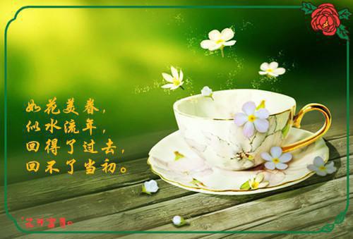 风月无凭，唯你负我成殇:+免费+后续楚慕然阮烟微推荐完本_已完结风月无凭，唯你负我成殇:+免费+后续（楚慕然阮烟微）