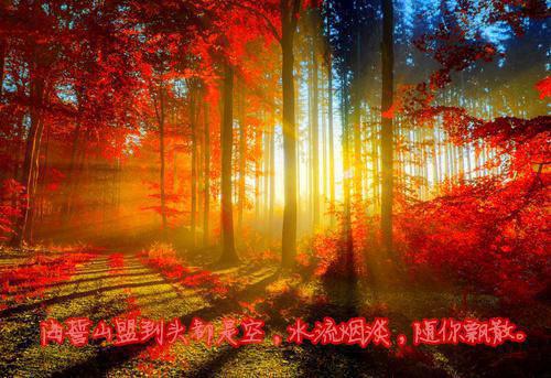 暗恋逢光夏未央江司聿：+完本+结局高分佳作已完结_暗恋逢光夏未央江司聿：+完本+结局高分佳作最新章节列表
