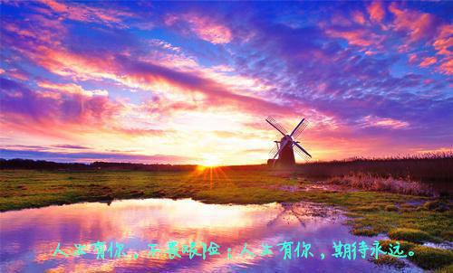 盛景太匆匆：版（宁若曦沈砚舟）全文浏览_盛景太匆匆：版全文浏览