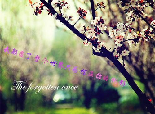 穿越末世我带移动仓库去闪婚苏晚陆时衍（又名：末世开局：我怀了黑化男主的崽）已完结_穿越末世我带移动仓库去闪婚苏晚陆时衍（又名：末世开局：我怀了黑化男主的崽）最新章节
